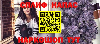 МДПВ Партизанск