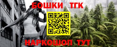МДПВ Партизанск