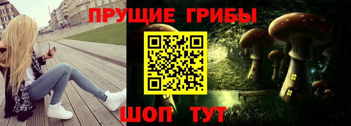 Новошахтинск  Галлюциногенные грибы Psilocybine cubensis  Вход с VPN 