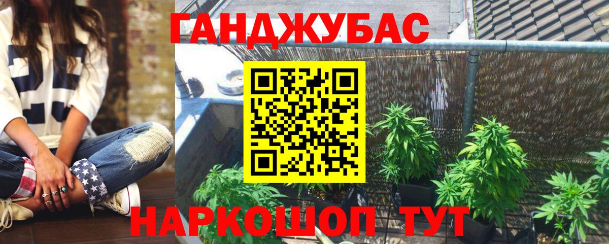 Канабис семена Новошахтинск